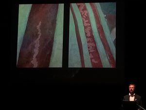 "Raffaello mai visto" art conversation with Paolo Violini, curated by Marco Ruffini, 9 August 2016, Rome, Palazzo Venezia courtyard "Raffaello mai visto" art conversation with Paolo Violini, curated by Marco Ruffini, 9 August 2016, Rome, Palazzo Venezia courtyard
